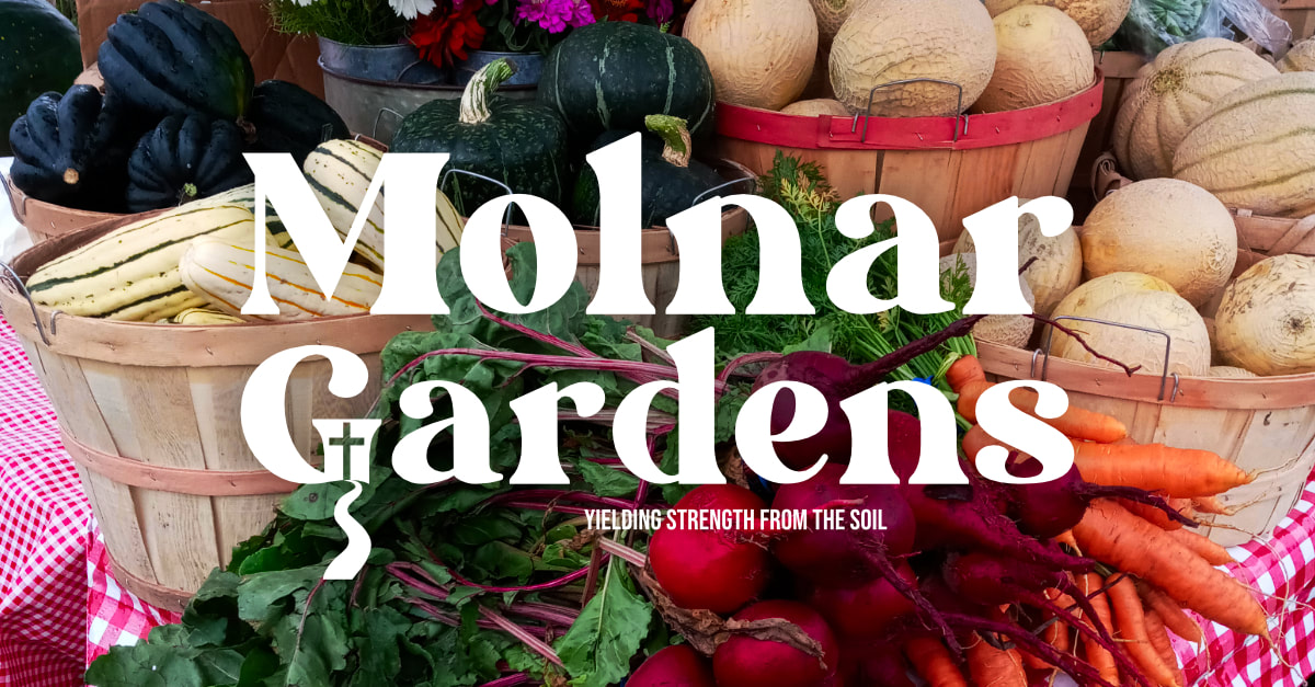 Molnar Gardens logo in front of table of fresh, organically grown vegetables at the farmers market